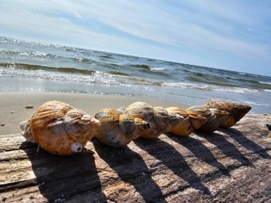 Danimarka 'da Blavand' ın Hvidbjerg plajı