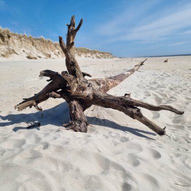 Danimarka 'da Blavand' ın Hvidbjerg plajı