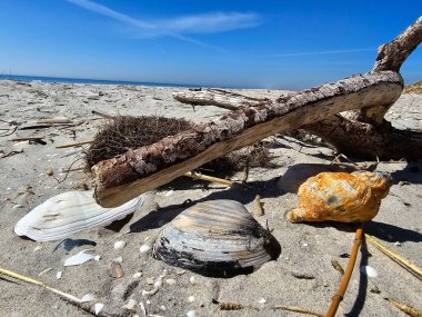 Danimarka 'da Blavand' ın Hvidbjerg plajı