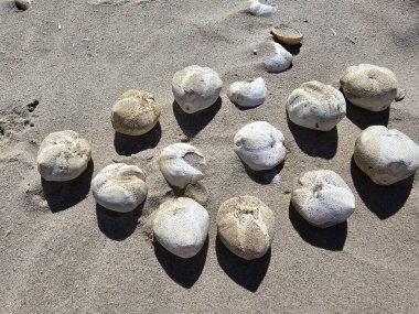 Danimarka 'da Blavand' ın Hvidbjerg plajı