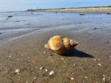 Danimarka 'da Blavand' ın Hvidbjerg plajı