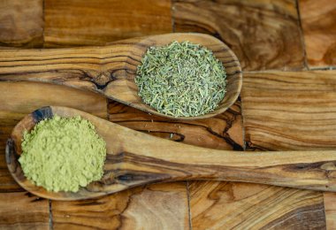 Rosemary Salvia Rosmarinus zeytin ağacında