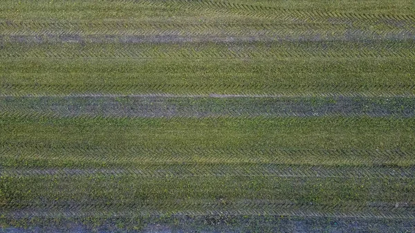 stock image Aerial shot of a pattern field