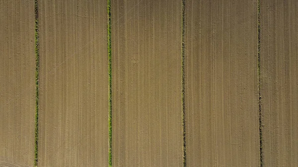 上から見た畑 — ストック写真