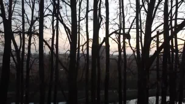 Motta Livenza Belediyesinin Hava Görüntüsü Insansız Hava Aracı Çan Kulesi — Stok video