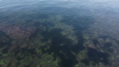 Civitavecchia kömür santrali, kristal denizde görülebilen hava kirliliği. Denizdeki drone 'un üst görüntüsü