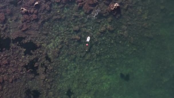 Человек Практикует Подводное Плавание Красным Мячом Кузнецами Осьминогом Фридайвингом — стоковое видео