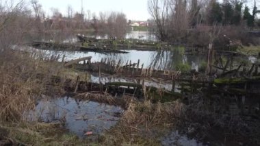 Boat cemetery located in the province of Treviso in Casier. Dead boats in crystal clear water with seagulls and birds that build nests for us to procreate.