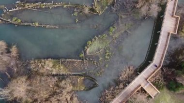Boat cemetery located in the province of Treviso in Casier. Dead boats in crystal clear water with seagulls and birds that build nests for us to procreate.