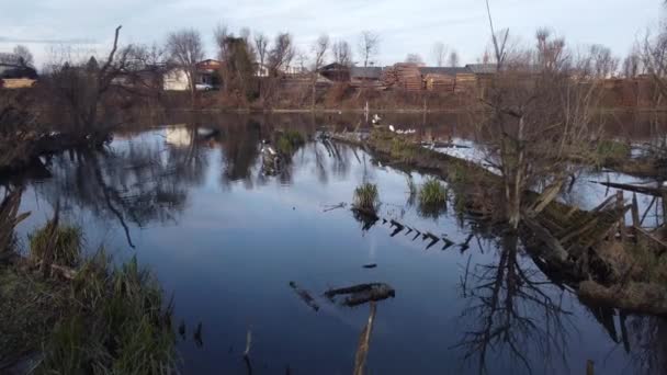 Boat Cemetery Located Province Treviso Casier Dead Boats Crystal Clear — Stockvideo