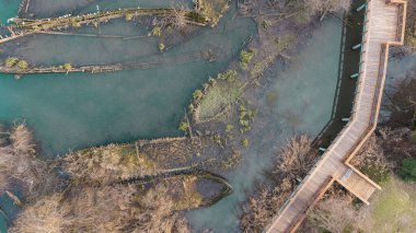 Boat cemetery located in the province of Treviso in Casier. Dead boats in crystal clear water with seagulls and birds that build nests for us to procreate.