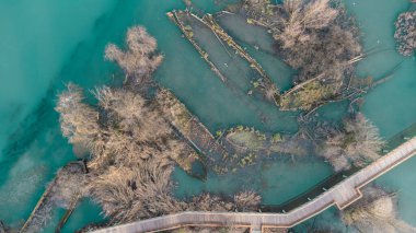Boat cemetery located in the province of Treviso in Casier. Dead boats in crystal clear water with seagulls and birds that build nests for us to procreate.