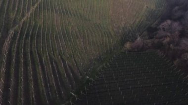 Unesco kovuşturma tepelerinin hava görüntüleri, Venedik sisi çerçeveli şarap dağları. Soğuk ve sisli kış..