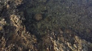 Aerial view of a crystal clear sea with rocks and black tufts of algae. Street and warm colors.