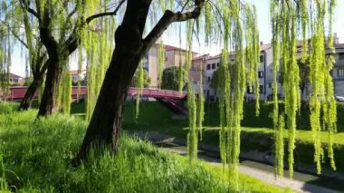 Küçük bir İtalyan kasabasının hava görüntüsü. Veneto, Treviso vilayetindeki Motta di livenza. Nehrin kıyısındaki köprü, karakteristik kırmızı evler, nehir kenarındaki ağaçlar. Bahar ilerliyor. Kilise çanı çalıyor..