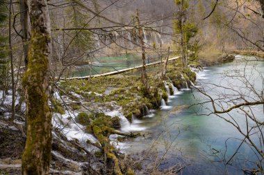 Küçük şelalelerle uzun süre su maruz kalmış. Köprü ile şelale, canlı bahar renkleri.