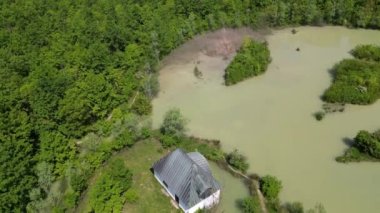 Yeşil bir ormanın havadan görünüşü, yazın yeşil ağaçlar ve ıssız bir kulübe.