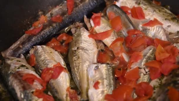 Lokalna Ryba Włoska Ryba Morza Tyrreńskiego Dania Ryb Gotowane Pomidorami — Wideo stockowe