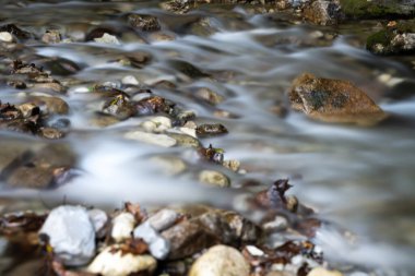 Nehir taşları üzerinde uzun süre su bulunması