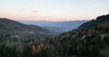 Pedavena ormanının hava manzarası. Uzakta Dolomitler, sonbahar yaprakları.