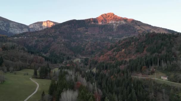 Воздушная Панорама Педавенского Леса Доломиты Вдалеке Осенняя Листва — стоковое видео