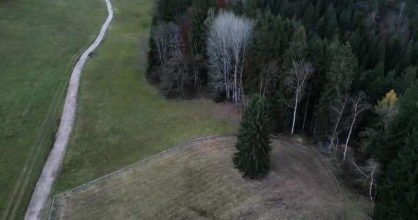 Aerial Panorama Pedavena Forest Dolomites Distance Autumn Foliage — Stock Video