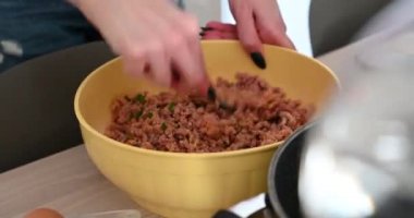 Ev yapımı köfteler, İtalyan mutfağı.