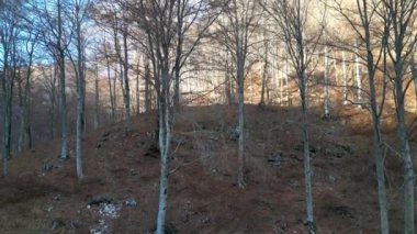 Friulian ovasına tepeden tırnağa hava manzarası