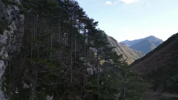 Dağların Ortasındaki Tünelin Havadan Görünüşü Sonbahar Yaprakları Yolları — Stok video