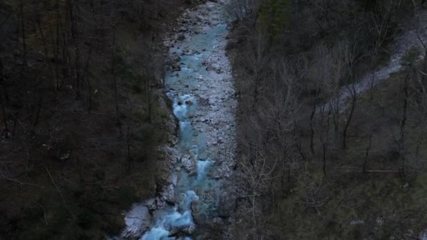 Arzino Wildbach Der Provinz Udine Seidig Smaragdgrünes Wasser Luftaufnahme Udin — Stockvideo