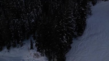 Bolzano karlı arazide insanlar kayak yapıyor. Karla kaplı dağlar