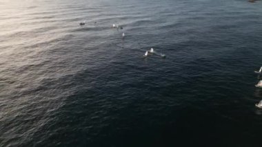 Civitavecchia Denizi 'nde yelken açan teknelerin manzarası, güçlü rüzgar ve dalgalar..