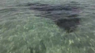Sardunya kıyılarının kristal berrak deniz manzarası.