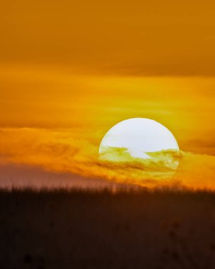 Batan güneşin üzerini kapayarak büyüyen bir tarlanın