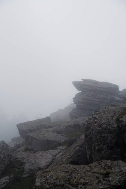 Dağlarda sisle kaplı ağaçlarla kaplı Gotik doğal manzara, Sardunya