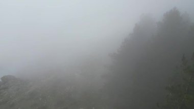 Dağlarda sisle kaplı ağaçlarla kaplı Gotik doğal manzara, Sardunya