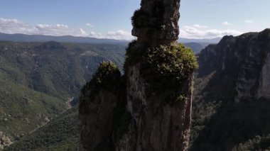 İlkbaharda sardalya dağları Her zaman yeşil ağaçlar
