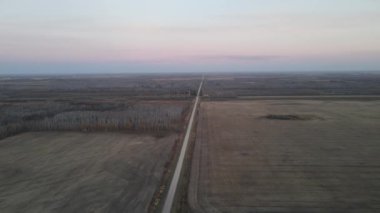 İnsansız hava aracı kasvetli görünüşlü tarlaların ve ormanların üzerinde uçuyor.