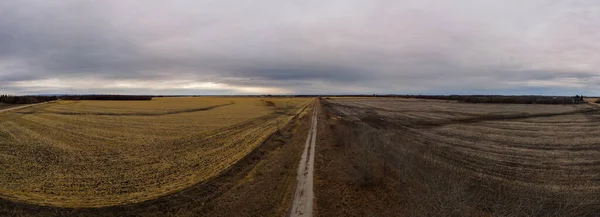 Blick Auf Eine Unbefestigte Straße Mit Düster Aussehenden Erntefeldern Unter — Stockfoto