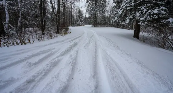 车辆在大约一英尺深的新雪中留下了深深的痕迹 在森林里 沿着一条狭窄的小路凝视着 — 图库照片