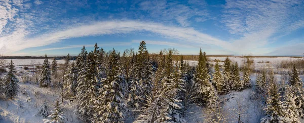 白い雲が立ち並ぶ青空の下 新雪に覆われたスプルースの森の空中写真 森の中に鹿が見える — ストック写真