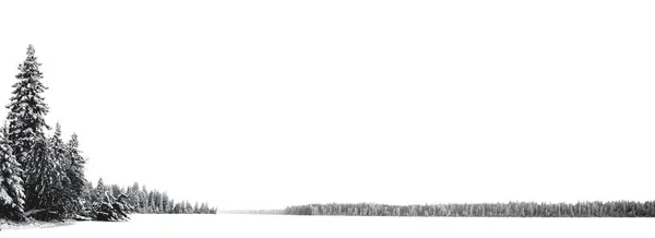 Panorama Snötäckt Sjö Vit Himmel Och Träd Längs Vänster Sida — Stockfoto