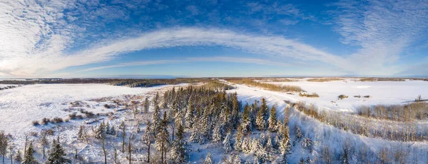 冬季的空中景观混合了草原和蓝天白云的森林 一条狭窄的路穿过森林 — 图库照片