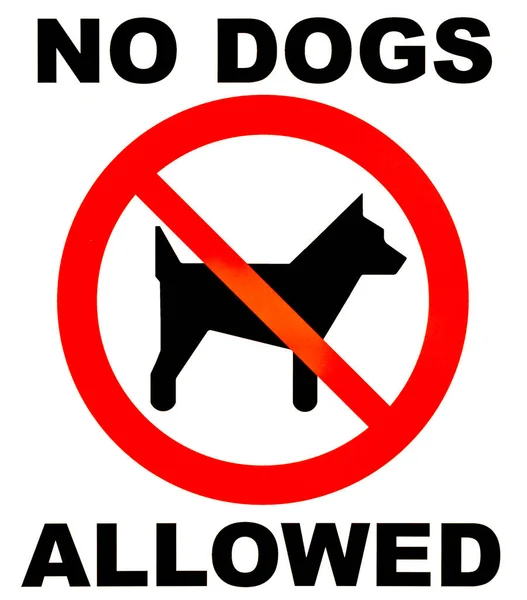 Geen Honden Toegestaan Bord Met Vetgedrukte Tekst Een Rood Symbool — Stockfoto