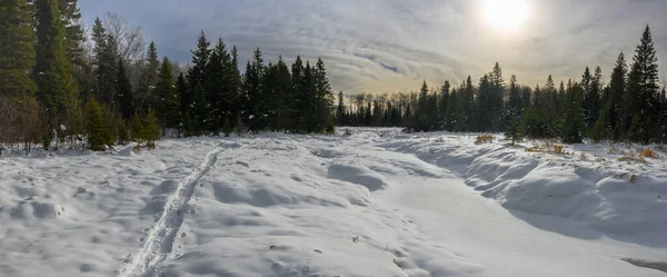 スノーシュートラックのある雪の森の設定と凍結ストリームのパノラマ 空は太陽に照らされた雲で満たされています — ストック写真