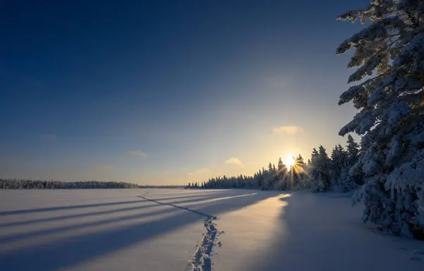 Kış sahnesinde kar ayakkabısı izleri ön planda başlıyor ve karlı bir ormanda kayboluyor. Güneş ladin ağaçlarına batıyor..