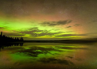 Kırmızı Aurora 'ya muhteşem yeşil ve kıyı boyunca uzanan ladin ağaçlarıyla dolu sakin bir göle yansıyan milyonlarca yıldız. Birkaç bulut içerir.