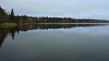 Sakin bir göl sabah manzarası karışık ladin ve sonbahar renkli yaprak döken ağaçların kıyılarını yansıtıyor. Şarjörde sudaki küçük dalgalanmalardan oluşan minimum bir hareket var..
