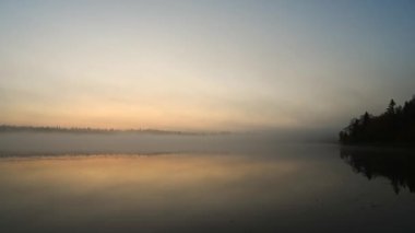 Sakin bir gölde, sakin bir sabah manzarası. Sis yavaşça suyun üzerinde ilerlerken ve ağaçların sağında. Sakin su sisi, ağaçları ve ılık sabah renklerini yansıtır..