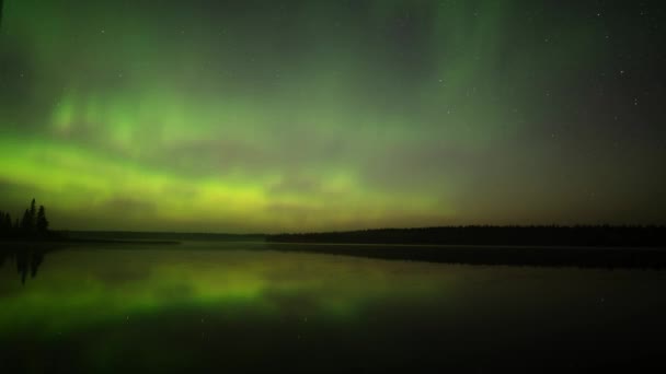 Espectacular Aurora Verde Llena Cielo Refleja Agua Inicio Del Clip — Vídeos de Stock